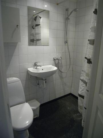 Viborggade Lejlighed København